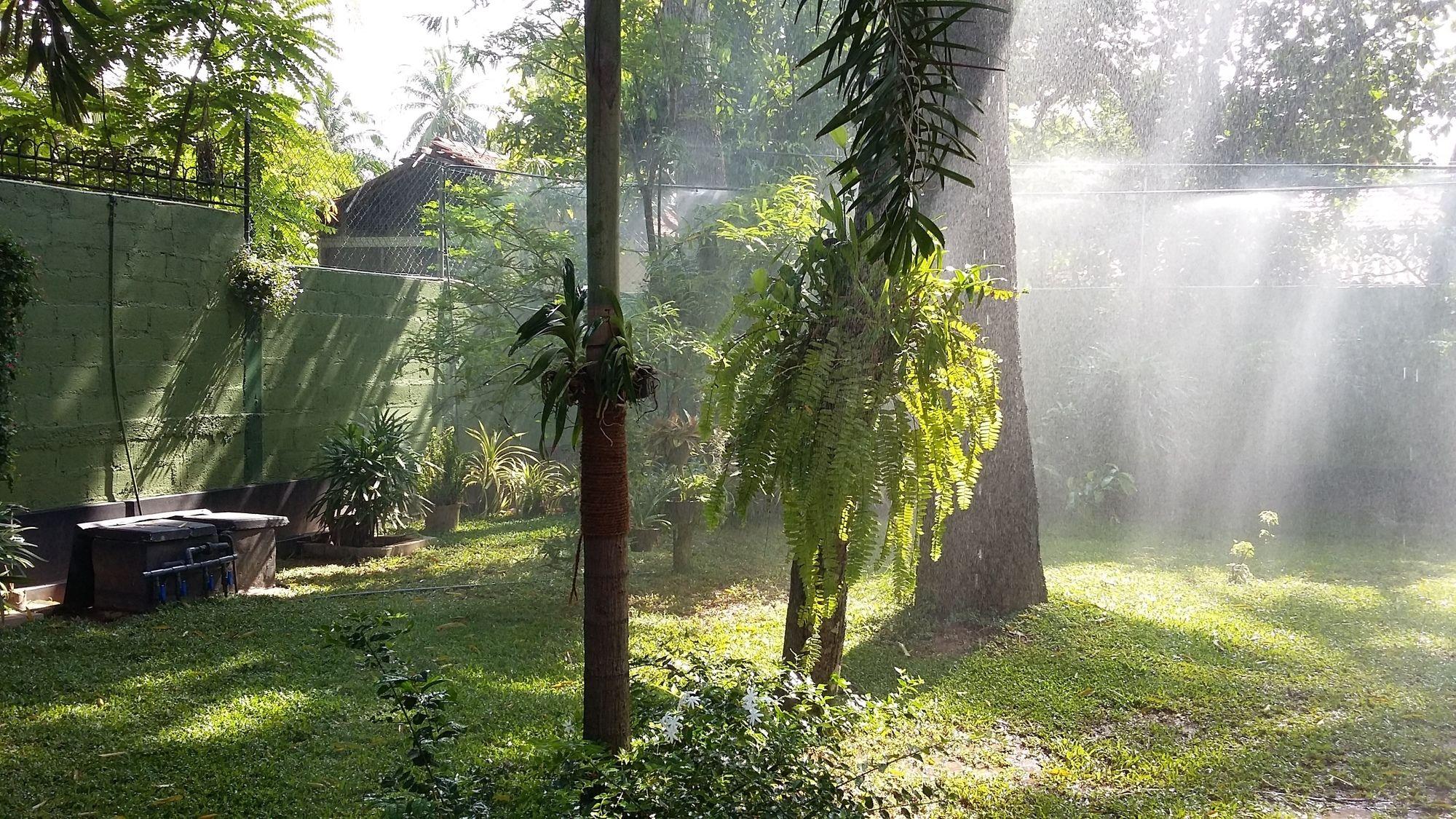 West Dene Panzió Negombo Kültér fotó