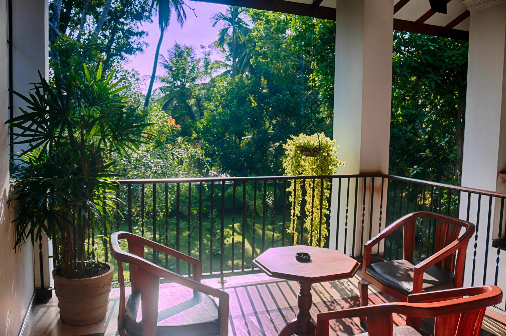 West Dene Panzió Negombo Kültér fotó