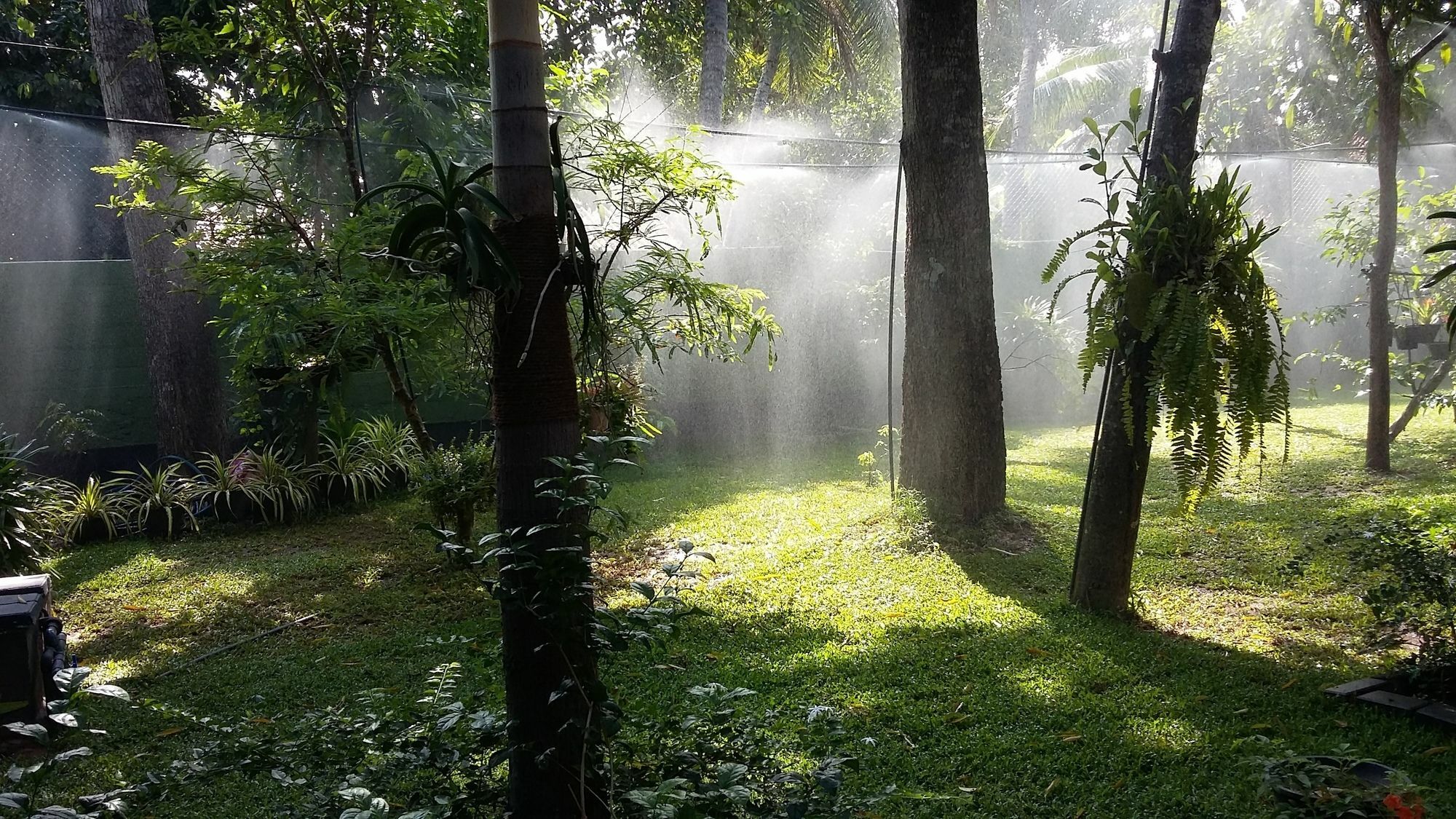 West Dene Panzió Negombo Kültér fotó